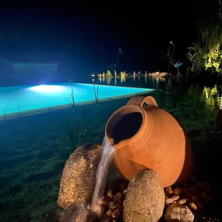 Hotel Albergue Bioclimatico Sabinares Del Arlanza Puentedura エクステリア 写真