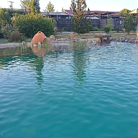 Hotel Albergue Bioclimatico Sabinares Del Arlanza Puentedura エクステリア 写真