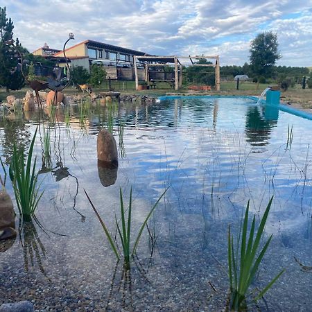Hotel Albergue Bioclimatico Sabinares Del Arlanza Puentedura エクステリア 写真