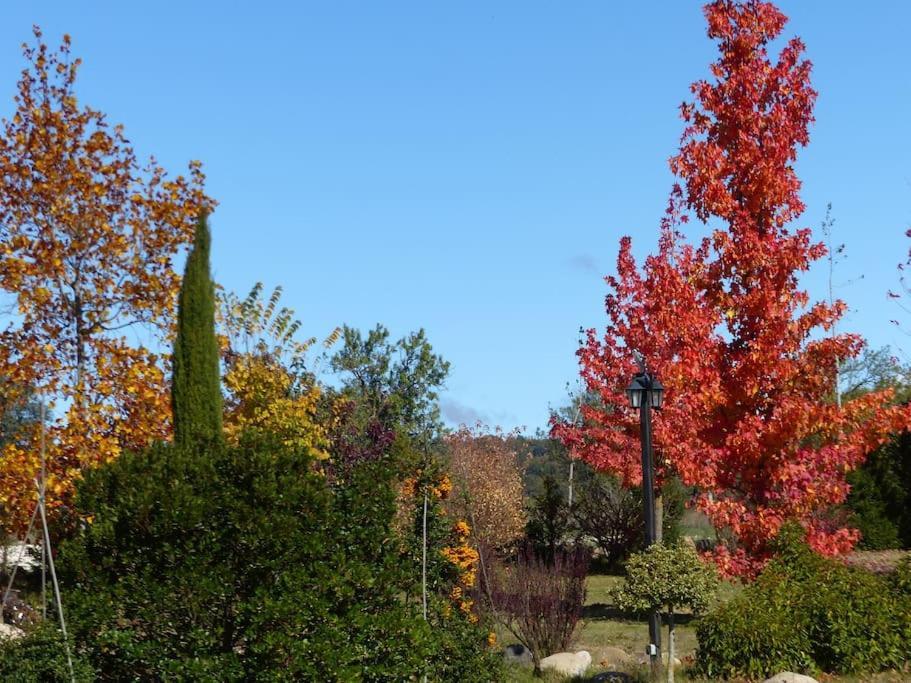 Hotel Albergue Bioclimatico Sabinares Del Arlanza Puentedura エクステリア 写真
