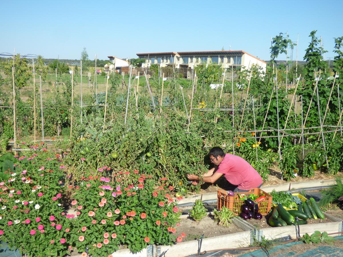 Hotel Albergue Bioclimatico Sabinares Del Arlanza Puentedura エクステリア 写真