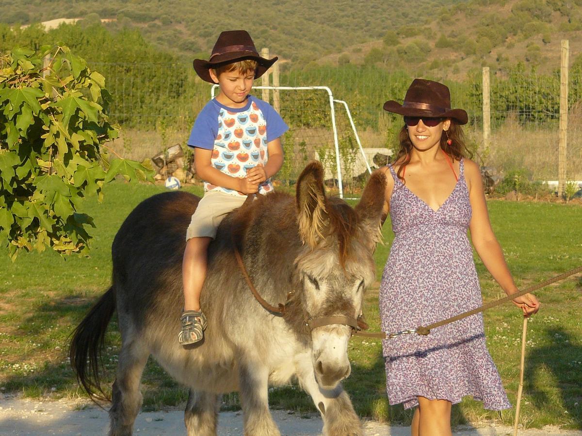 Hotel Albergue Bioclimatico Sabinares Del Arlanza Puentedura エクステリア 写真